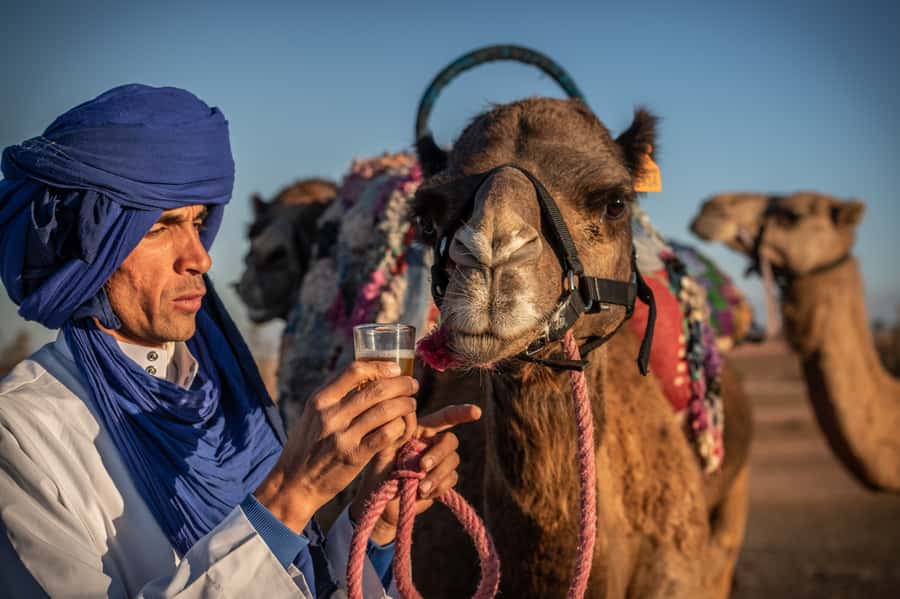 Agafay Desert: Quad Bike and Camel Ride Adventure Tour - Who should book this Agafay day?
