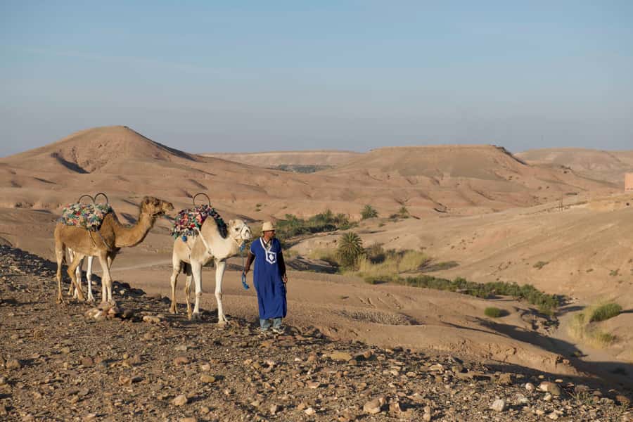 Agafay Desert: Quad Bike and Camel Ride Adventure Tour - Safety, clothing, and comfort