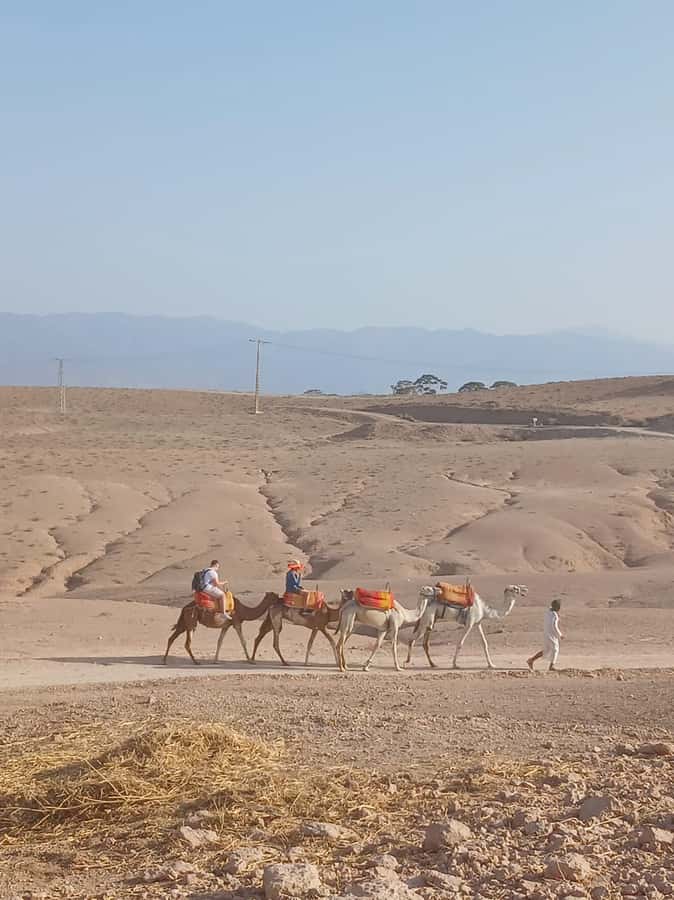 Agafay Desert: Quad Biking, Camel Ride, Lunch - Guides, safety, and the human side of the day