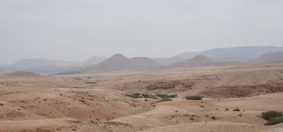 Agafay Desert: Quad Biking, Camel Ride, Lunch - Who will get the most from this experience