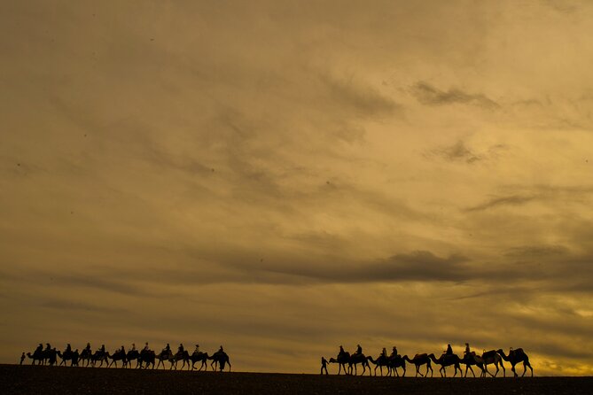 Agafay desert - Quad, camel, and dinner show - Dinner and the Moroccan-style evening show