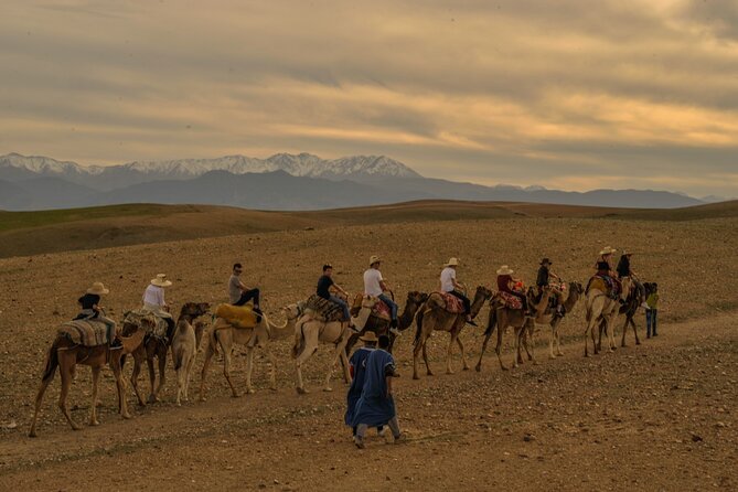 Agafay desert - Quad, camel, and dinner show - What $80.14 buys you