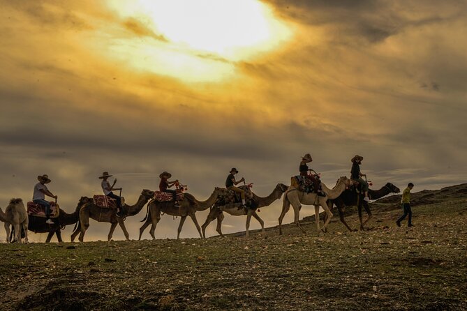 Agafay desert - Quad, camel, and dinner show - Practical details before you book