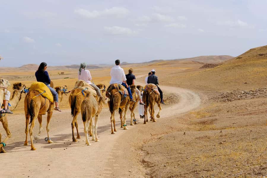 Agafay Desert: Quad, Camel Ride & Luxury Lunch with Pool - A Desert Pool With Time to Slow Down