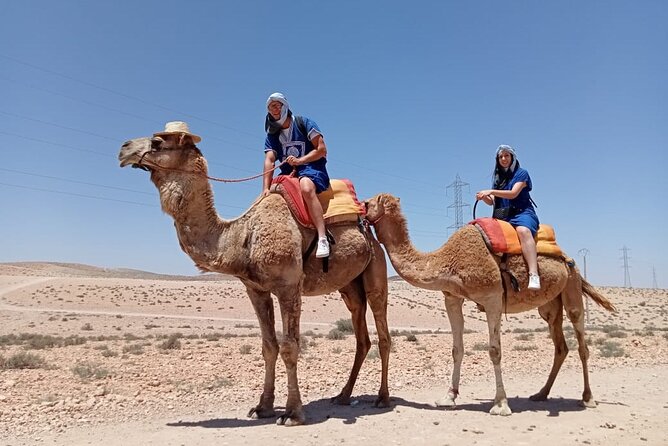 Agafay Desert :Quad or Camel with Lunch and pool or Dinner & Show - Key points to know before booking