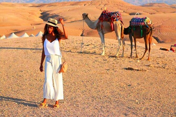 Agafay Desert Sunset, Camel Ride and Dinner from Marrakech - Key points at a glance