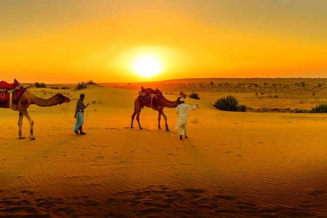 Agafay Desert Sunset, Camel Ride and Dinner from Marrakech - A Moroccan dinner under the stars