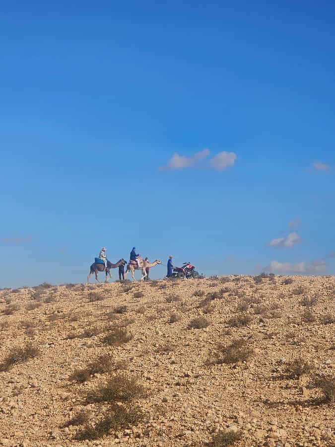 Agafay Desert Tour: Quad, Camel, Lunch & Pool Access - Moroccan lunch at the desert retreat