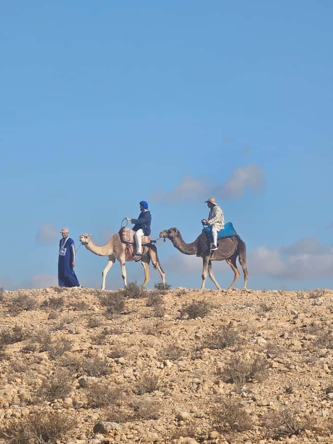 Agafay Desert Tour: Quad, Camel, Lunch & Pool Access - Who will enjoy this six-hour outing most