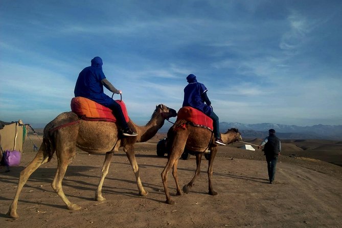 Agafay Half Day Rocky Desert Experience – Quad Bike & Camel Ride - Key things to know before you book