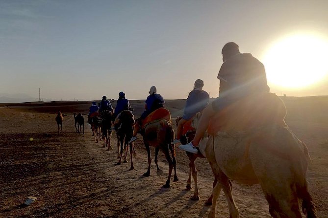 Agafay Half Day Rocky Desert Experience – Quad Bike & Camel Ride - A 90-minute camel ride across the rocky plateau