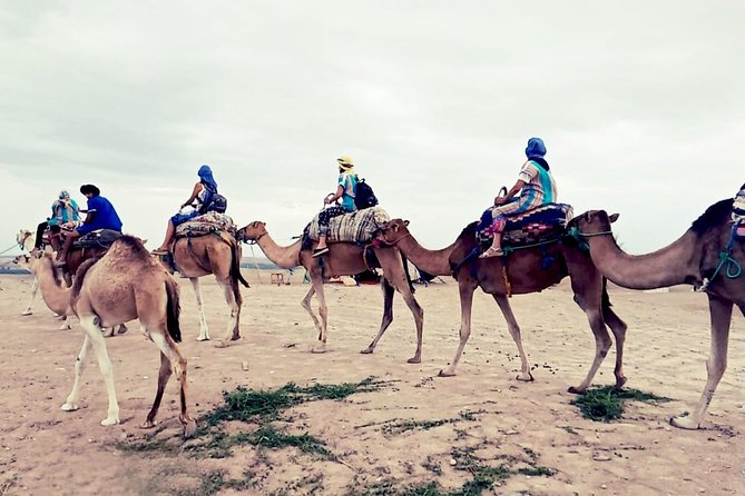 Agafay Half Day Rocky Desert Experience – Quad Bike & Camel Ride - Who will enjoy this half-day outing?