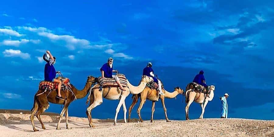 Agafay: Half-Day Rocky Desert Quad & Camel Ride with Lunch - Practical tips for a smoother day