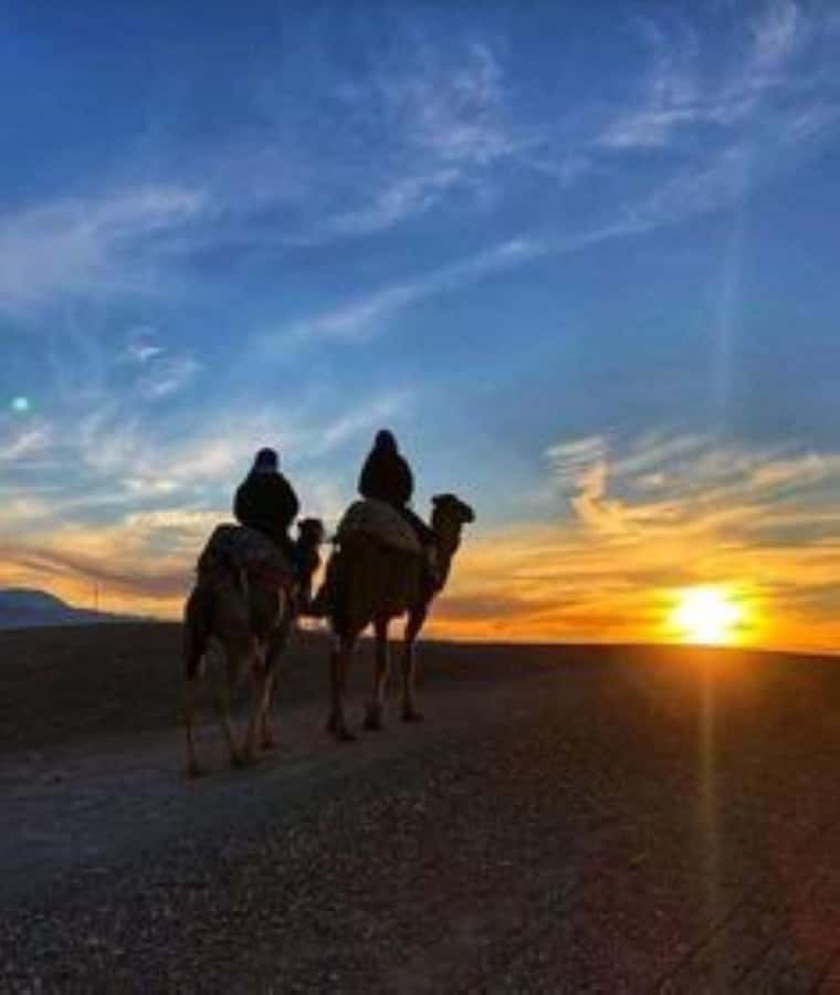Agafay: Quad, Camel Ride & Dinner Show from Marrakech - Key points at a glance
