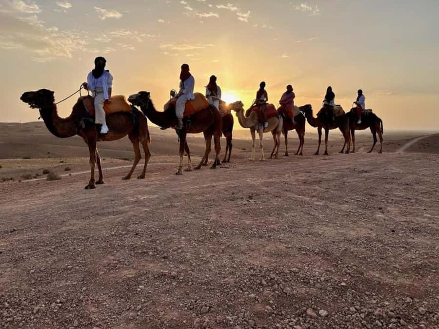 Agafay tour Quade Bike, Sunset and Romantic Dinner Show - Forty minutes on a shared quad