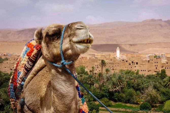 Ait ben haddou and Ouarzazate day trip - Timing, pickup, and the reality of a 12-hour day