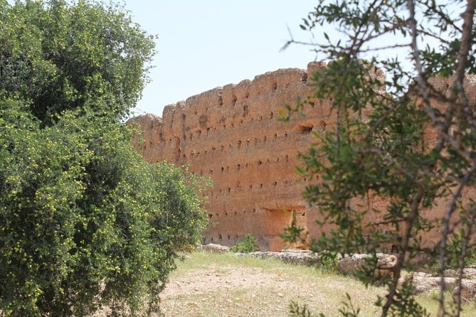 Argan Forest, tea time at a Berbers family & Visit of an Argan cooperative. - What the $52.27 price buys you