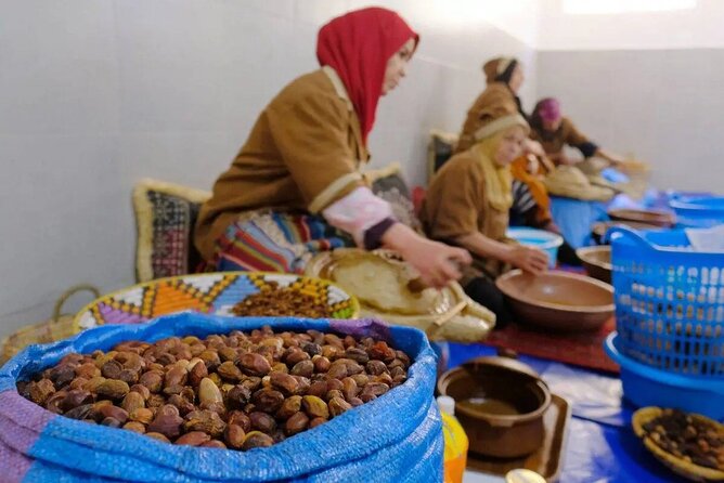 Argan Tree-Climbing Goats Morning Tour From Agadir - What $20 really gets you