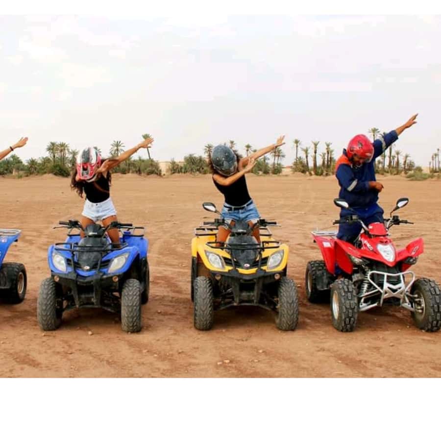 Around Marrakech: Camel Ride in Palm Groves including Tea - Key points to know before booking