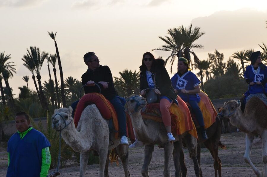 Around Marrakech: Camel Ride in Palm Groves including Tea - What the guides and drivers add