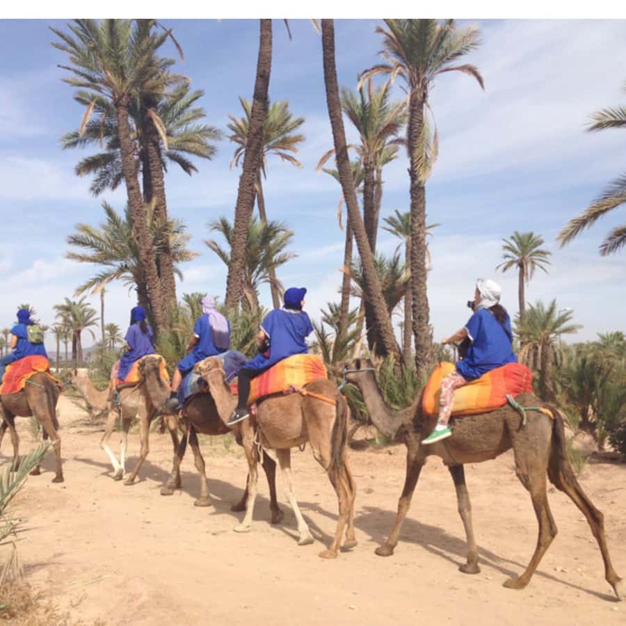 Around Marrakech: Camel Ride in Palm Groves including Tea - Arriving at the camels in Marrakech’s palm groves