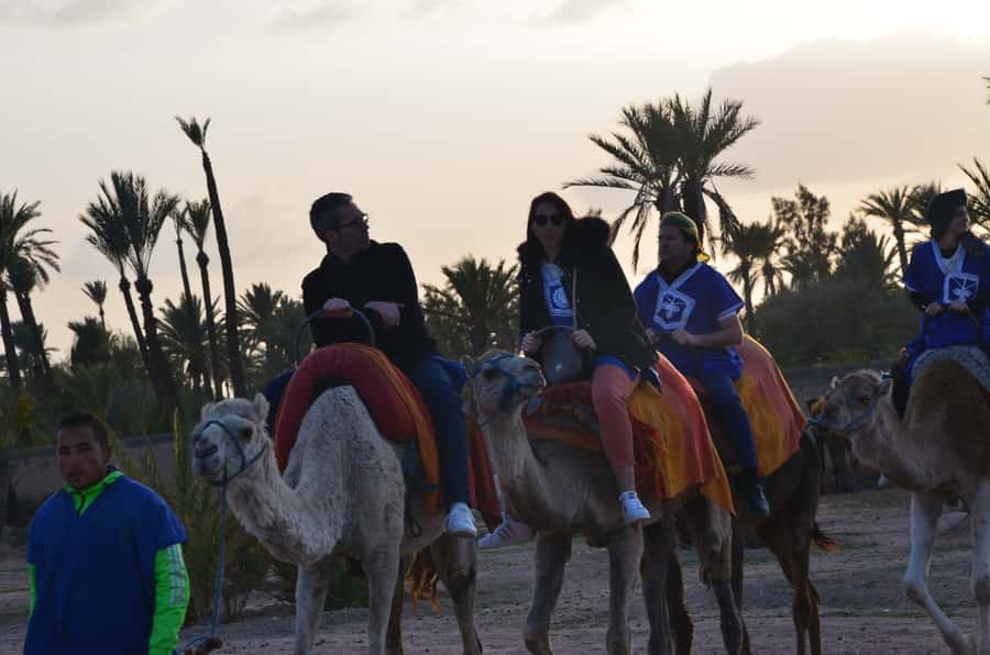 Around Marrakech: Camel Ride in Palm Groves including Tea - Traditional clothing and small handmade souvenirs