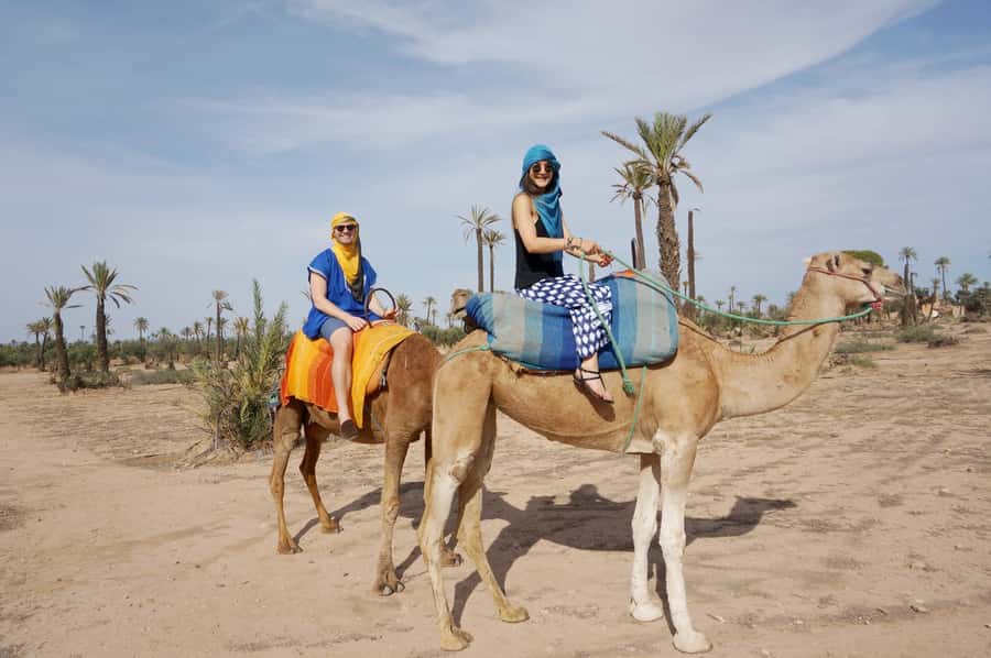 Around Marrakech: Camel Ride in Palm Groves including Tea - Shared or private, and the optional quad-bike upgrade