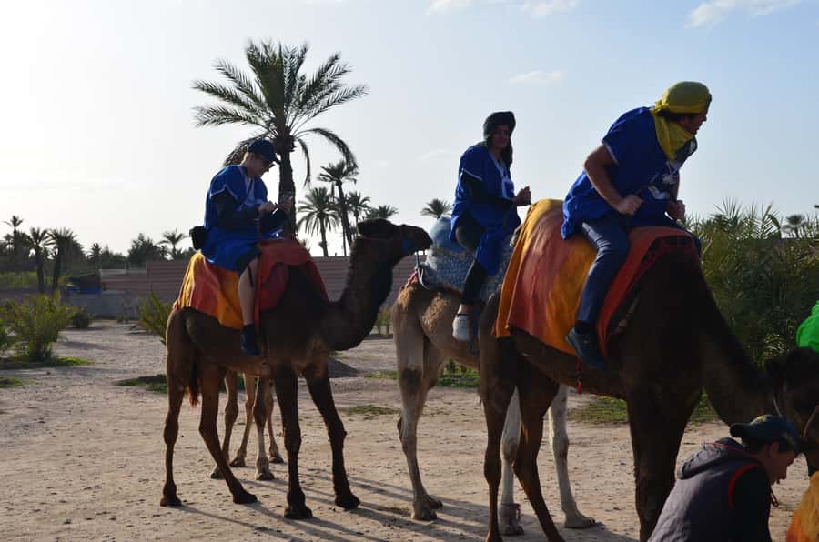 Around Marrakech: Camel Ride in Palm Groves including Tea - Getting picked up from a hotel or medina riad