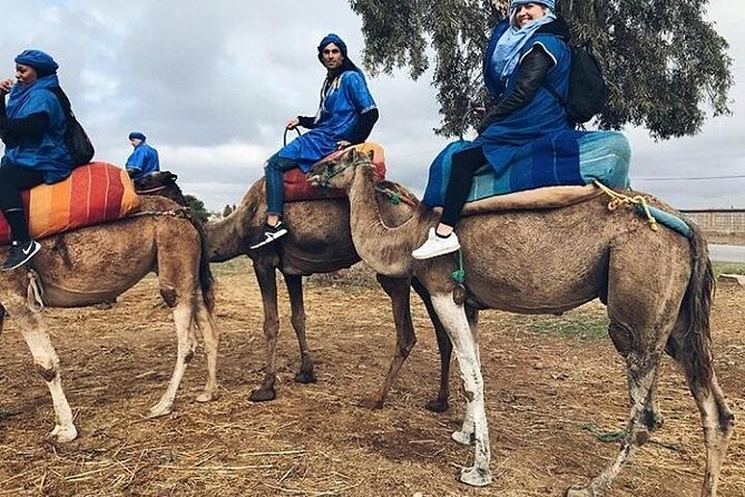 Atlas Mountain & Berber Villages and Waterfalls Day Trip from Marrakech - What the $34.89 Price Really Buys