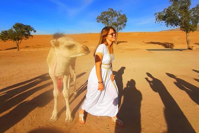 Atlas Mountains, 3 Valleys & Agafay Desert from Marrakech-DayTour - What the $23.68 price really buys you