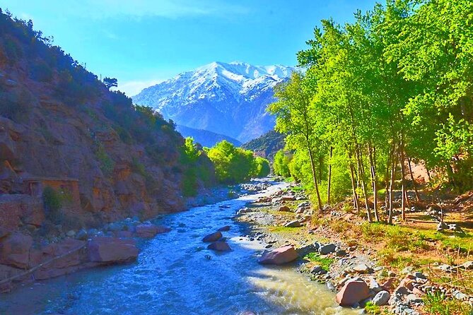 Atlas Mountains, 3 Valleys & Agafay Desert from Marrakech-DayTour - Choosing the right guide and group setup