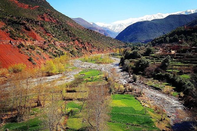 Atlas Mountains & 5 Valleys Tour from Marrakech - All inclusive - - Breakfast, argan oil, and tea in Ourika Valley