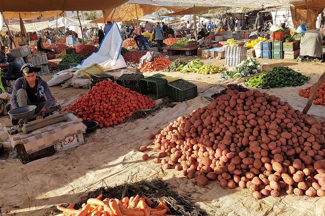 Atlas Mountains & 5 Valleys Tour from Marrakech - All inclusive - - Transport, group size, and daily comfort