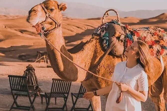 Atlas Mountains and Berber villages & Waterfalls with Camel ride - Lunch with a mountain view