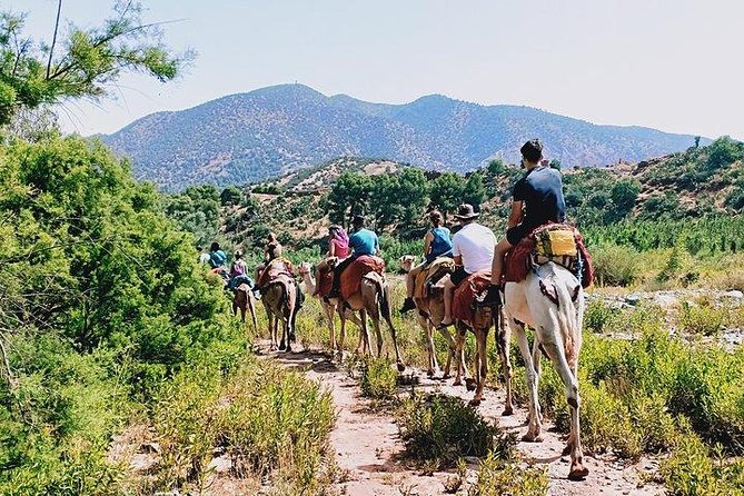 Atlas Mountains and Camel Ride Day Trip From Marrakech - Leaving Marrakech for the High Atlas