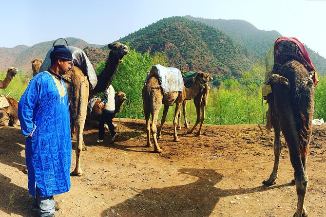 Atlas Mountains and Camel Ride Day Trip From Marrakech - Who will enjoy this day trip