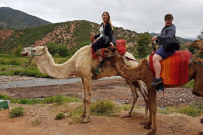Atlas Mountains and Three Valleys & Waterfalls - Camel ride Day Trip Marrakech - Tahnaout Valley and the Mulay Brahim Gorge
