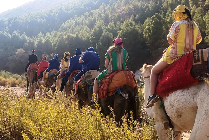 Atlas Mountains and Three Valleys & Waterfalls - Camel ride Day Trip Marrakech - A camel ride in the mountain and desert setting