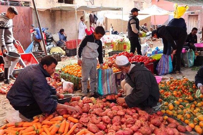 Atlas Mountains and Three Valleys & Waterfalls with Camel ride Day Trip - Key points to know before you book