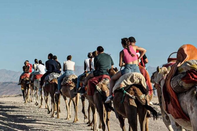Atlas Mountains, Berber Villages and Three Valleys all inclusive - Leaving Marrakech for the Atlas Mountains