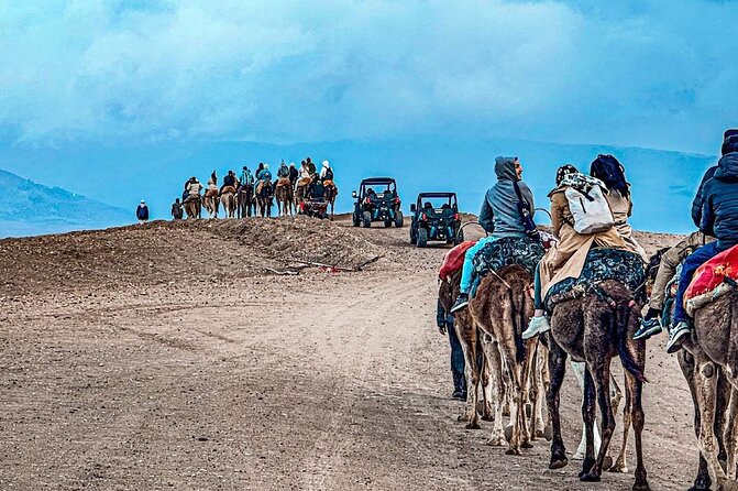 Atlas Mountains, Berber Villages and Three Valleys all inclusive - The argan oil cooperative and goats in the trees