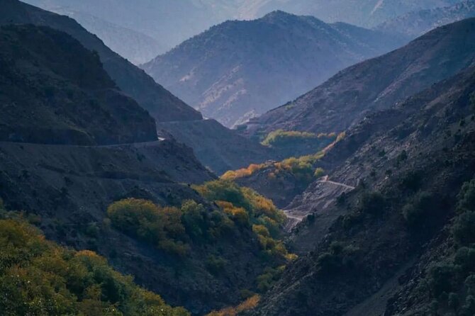Atlas Mountains & Berber Villages & Waterfalls & Camel Ride Trip - A Berber home and lunch make the day personal