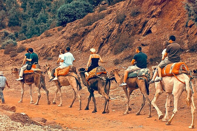 Atlas Mountains Day Trip from Marrakech and Three Valleys Guided Tour - Key points at a glance