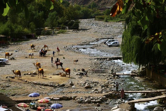 Atlas Mountains Day Trip with Camel Ride - Lunch with a mountain view, at your own cost