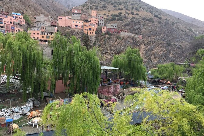 Atlas Mountains day Trips and berbers villages - The argan oil cooperative