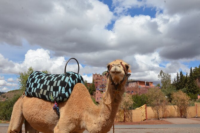 Atlas Mountains day Trips and berbers villages - Lunch at a family home in Imlil