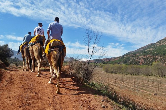 Atlas Mountains day Trips and berbers villages - What the guides add to the day