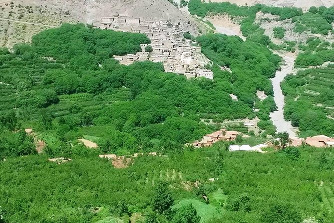Atlas Mountains day Trips and berbers villages - Mint tea and a Berber tent