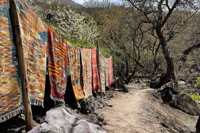 Atlas Mountains Full-Day Hiking Trip from Marrakech - Mint tea and route choices in Imlil