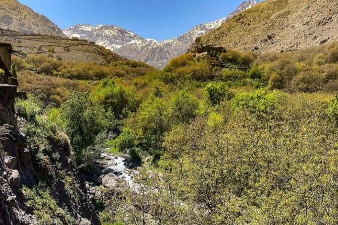 Atlas Mountains Full-Day Hiking Trip from Marrakech - Villages, waterfalls, and farm terraces